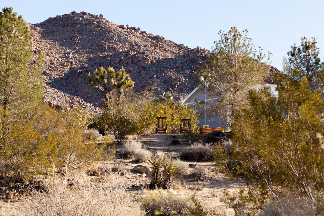 @ Marbella Lane - 10 Acres Oasis Desert Retreat! Joshua Tree Eksteriør billede