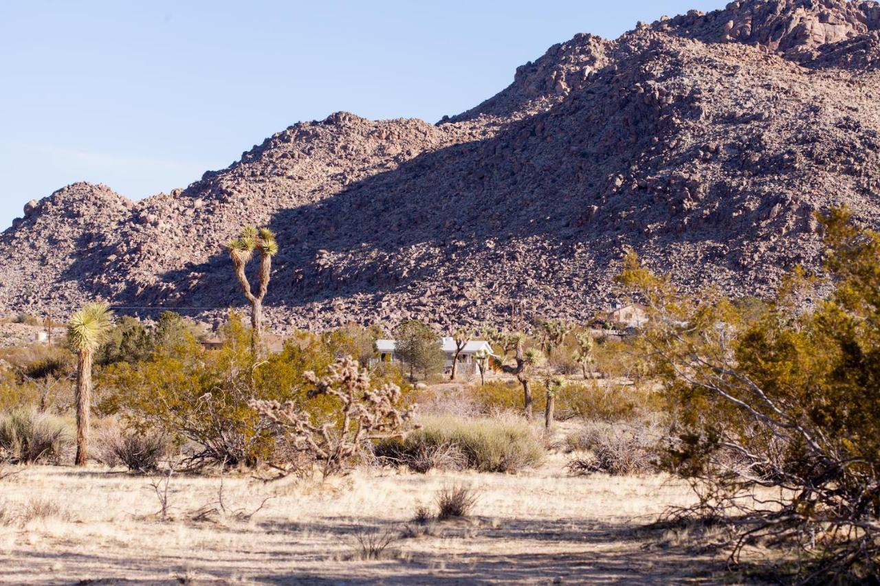 @ Marbella Lane - 10 Acres Oasis Desert Retreat! Joshua Tree Eksteriør billede